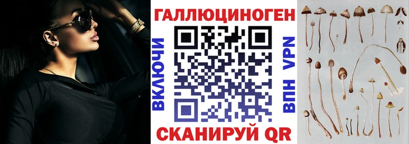 Купить где  Евпатория  Псилоцибиновые грибы Psilocybine cubensis 